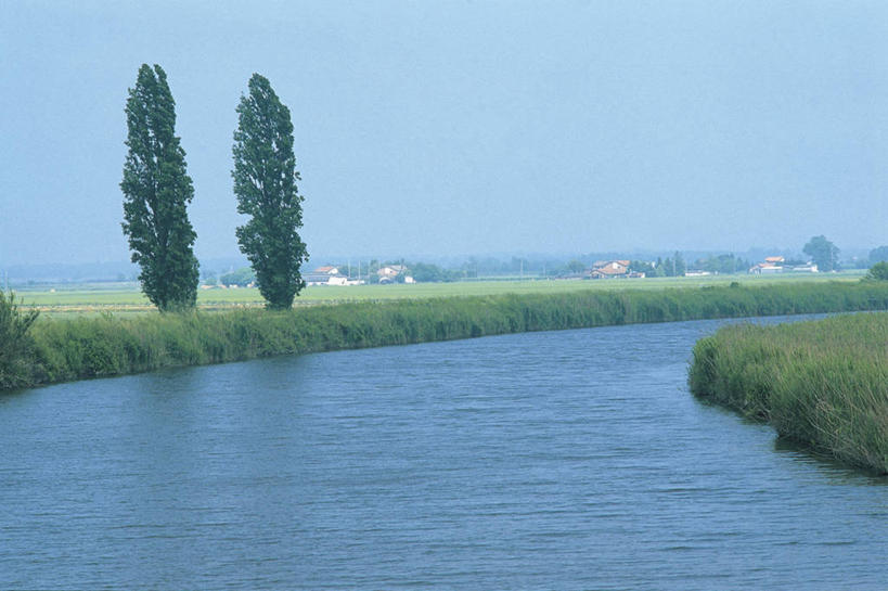 无人,横图,室外,白天,旅游,度假,河流,美景,意大利,欧洲,波纹,地形,景观,娱乐,草,树,风景,自然,享受,休闲,景色,放松,摄影,流动,宁静,地中海文化,南欧,自然风光,意大利文化,万里无云,意大利共和国,艾米利亚.罗马涅,艾米利亚.罗马涅大区,彩图,波河