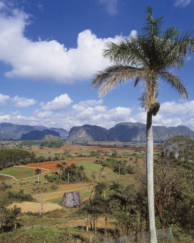 无人,竖图,俯视,室外,白天,旅游,度假,石头,美景,山,山脉,峡谷,棕榈树,叶子,古巴,加勒比海,石子,地形,景观,云,山谷,娱乐,树,天空,自然,享受,休闲,景色,大西洋,放松,摄影,宁静,西印度群岛,拉丁美洲,岩层,自然风光,比那尔德里奥,石块,岩石,彩图,高角度拍摄