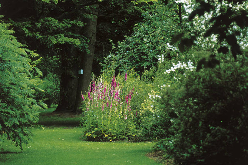 无人,植物园,横图,室外,白天,美景,建筑,比利时,欧洲,阴影,景观,草,花,树,风景,自然,景色,摄影,生长,宁静,国家公园,自然风光,安特卫普,法兰德斯,彩图