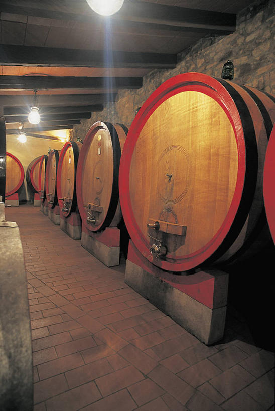 葡萄酒,无人,竖图,室内,天花板,意大利,欧洲,一排,堆叠,整齐,木制,桶,饮食,酒窖,排列,工业,摄影,电灯,照亮,地中海文化,队列,托斯卡纳区,彩图,蒙塔西诺