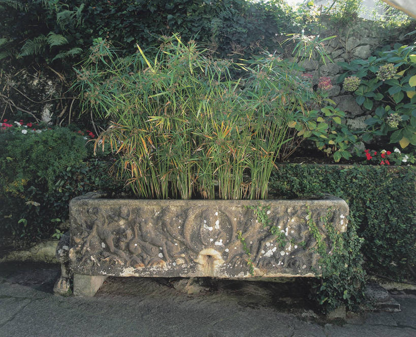 无人,横图,室外,白天,建筑,意大利,欧洲,摄影,生长,死亡,地中海文化,棺材,石棺,意大利文化,卡普里,坎帕尼亚,彩图