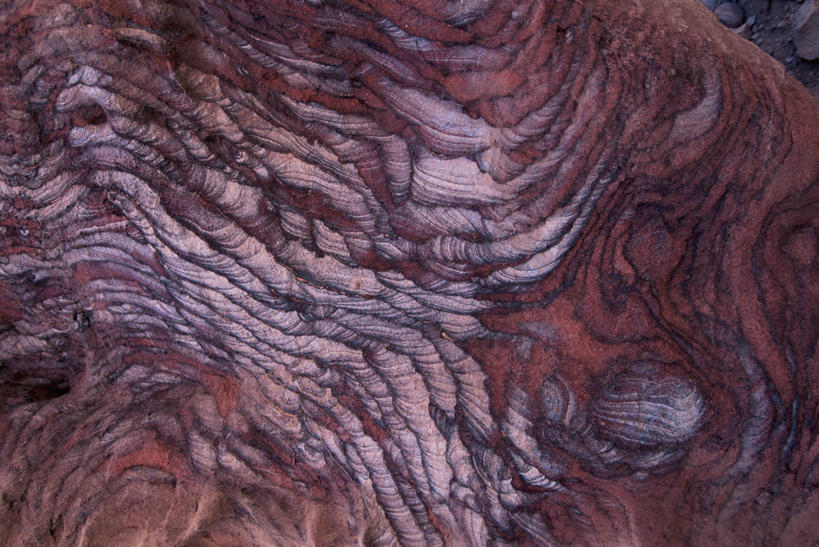 无人,横图,室外,特写,白天,背景,约旦,亚洲,地标建筑,摄影,中东,地中海文化,佩特拉,肌理,式样,地质学,沙岩,岩石,彩图,全画面,全框架,全帧,全画幅