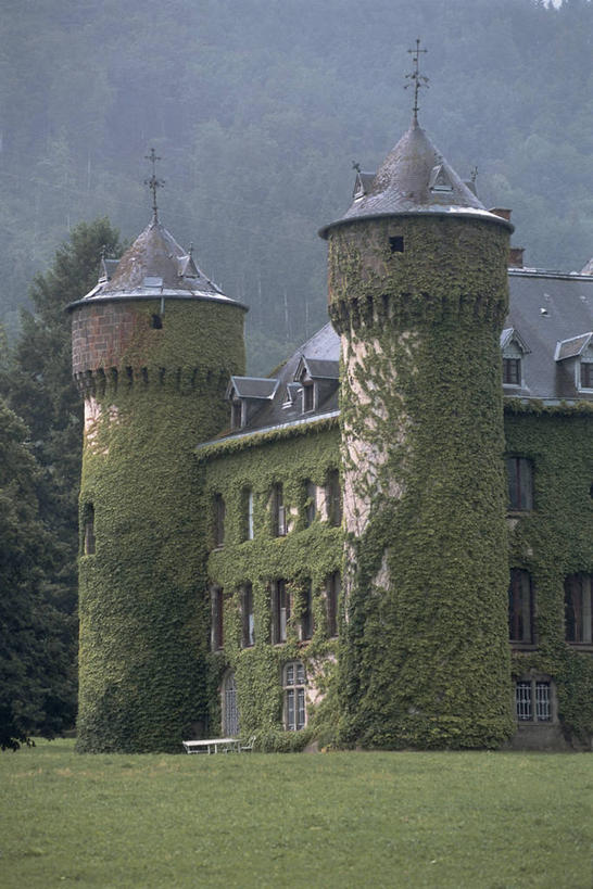 无人,竖图,室外,白天,窗户,建筑,法国,欧洲,覆盖,城堡,尖顶,常春藤,历史,草,树,摄影,地中海文化,奥弗涅,彩图,过去