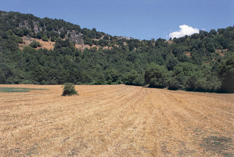 无人,横图,室外,白天,旅游,度假,美景,森林,意大利,欧洲,沮丧,地形,景观,云,喀斯特,娱乐,树,风景,天空,自然,享受,休闲,景色,放松,摄影,宁静,地中海文化,自然风光,意大利文化,地质学,自然地理,彩图