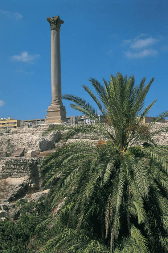无人,竖图,室外,白天,仰视,建筑,棕榈树,非洲,埃及,柱子,云,历史,废墟,天空,摄影,考古学,中东,地中海文化,埃及文化,亚历山大港,古代文明,彩图,低角度拍摄,过去