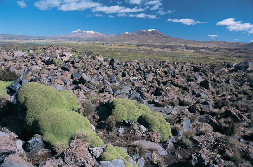 无人,横图,室外,白天,旅游,度假,火山,美景,山,智利,地形,景观,云,娱乐,天空,自然,享受,休闲,景色,南美,放松,摄影,宁静,国家公园,拉丁美洲,自然风光,地质学,朗卡国家公园,自然地理,活火山,岩石,彩图,普特雷