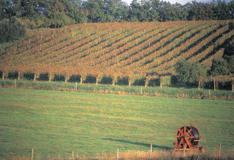 无人,横图,室外,白天,农业,农作物,机器,美景,意大利,欧洲,景观,葡萄园,草,树,自然,车轮,机械,景色,摄影,宁静,地中海文化,自然风光,意大利文化,彩图,农业机械
