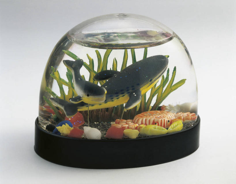 游泳,无人,横图,室内,特写,白色背景,水下,植物,野生动物,玩具,雕塑,艺术,装饰,透明,雕刻,雕像,商品,塑胶,鱼缸,鱼类,无脊椎动物,一个,动物,纪念品,工艺品,摄影,单个,纪念,美术,创造力,记忆,主题,节肢动物,陈列,功能,美学,雪花球,彩图,影棚拍摄