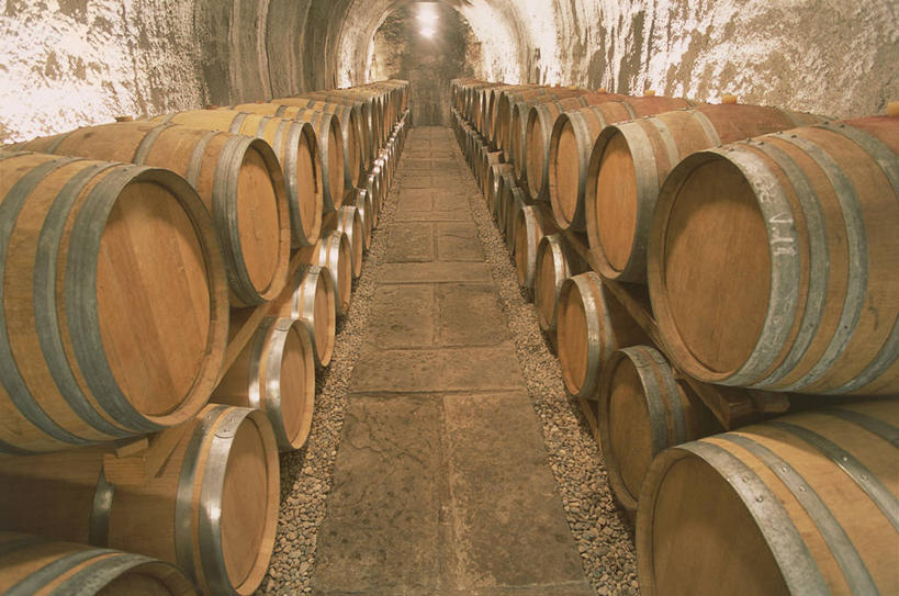 无人,横图,室内,农业,意大利,欧洲,一排,许多,堆叠,丰富,整齐,酒桶,桶,很多,酒窖,排列,工业,摄影,西欧,地中海文化,队列,南欧,意大利文化,意大利共和国,弗留利.威尼斯朱利亚,弗留利.威尼斯朱利亚大区,彩图