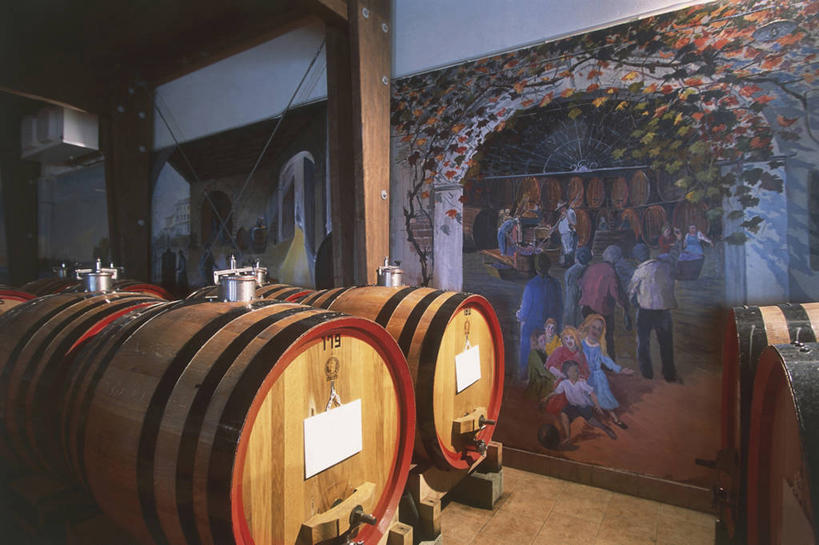 无人,横图,室内,农业,意大利,欧洲,一排,丰富,整齐,酒桶,桶,酒窖,排列,工业,摄影,西欧,地中海文化,队列,南欧,意大利文化,意大利共和国,弗留利.威尼斯朱利亚,弗留利.威尼斯朱利亚大区,彩图