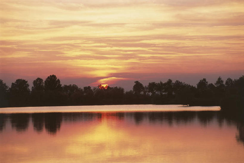 无人,横图,室外,白天,旅游,度假,河流,美景,日落,水,太阳,意大利,欧洲,反射,光,河岸,景观,流水,宏伟,娱乐,树,天空,自然,黄昏,享受,休闲,橙色,景色,放松,摄影,宁静,环境,西欧,地中海文化,南欧,自然风光,剪影,逆光,意大利文化,意大利共和国,三角洲,艾米利亚.罗马涅,艾米利亚.罗马涅大区,省立公园,彩图,旅行,波河