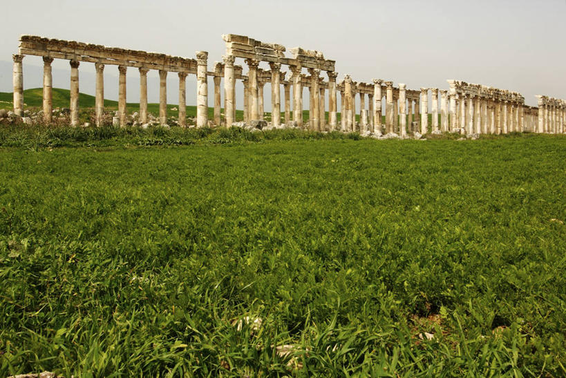 太阳穴,无人,横图,室外,白天,建筑,叙利亚,亚洲,一排,整齐,柱子,地形,历史,破坏,古罗马,破损,废墟,草,排列,天空,自然,摄影,宗教,生长,环境,损坏,考古学,中东,宗教建筑,要塞,地中海文化,队列,古典风格,古代文明,柱廊,古代史,彩图,旅行,阿帕米亚,过去