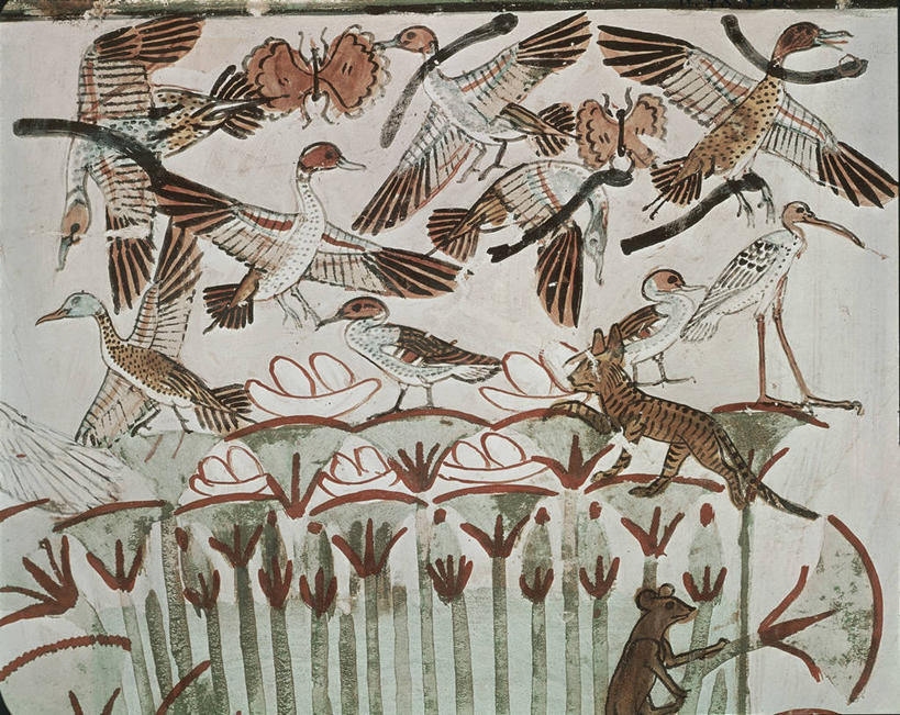 无人,横图,室内,绘画,建筑,埃及,艺术,装饰,鸟类,鸭子,联合国,古典,文化,飞,家禽,壁画,自然,工艺品,品味,摄影,环境,美术,水禽,沼泽,高雅,中东,猫科动物,作画,北非,中东文化,朱鹭,埃及文化,美学,观赏草,热带鸟,潘塔纳尔湿地,古埃及文明,底比斯,纸草,彩图,联合国教科文组织,帝国