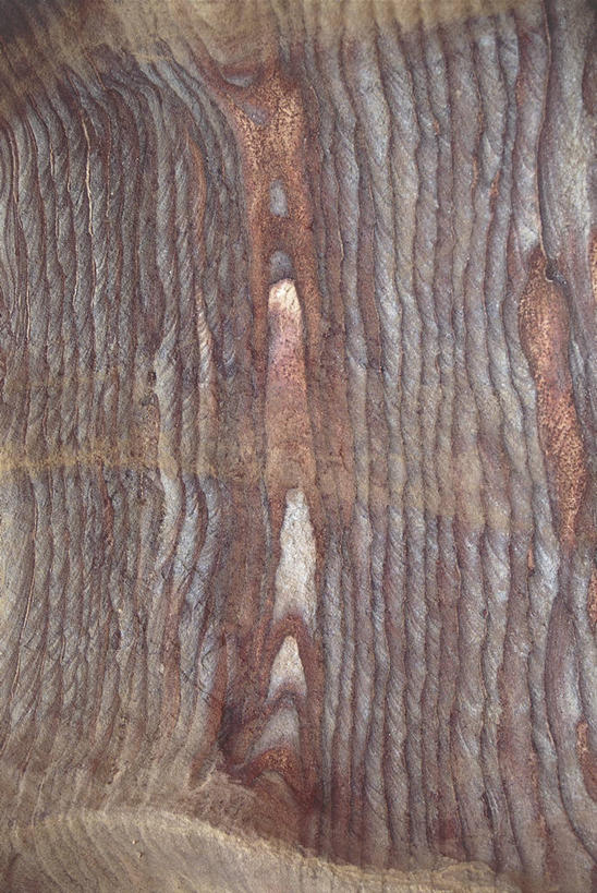 无人,竖图,室外,特写,白天,背景,抽象,旅游,度假,美景,约旦,地形,景观,娱乐,自然,享受,休闲,景色,放松,摄影,中东,岩层,自然风光,沉积岩,佩特拉,式样,地质学,沙岩,自然地理,岩石,彩图,全画面,全框架,全帧,全画幅