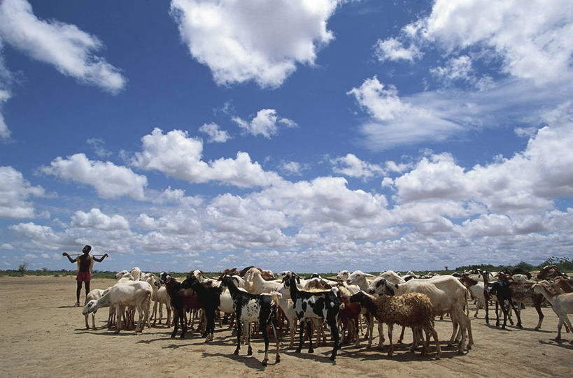 一个人,站,横图,室外,白天,旅游,度假,农业,美景,非洲,马里,一群,许多,沙子,景观,云,天气,很多,娱乐,天空,自然,享受,休闲,家畜,景色,放松,摄影,自然风光,牧人,西非,自然地理,山羊,彩图,传统文化,富拉尼族