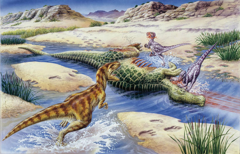 无人,横图,室外,白天,河流,野生动物,四只,捕食,流水,自然,动物,恐龙,环境,进攻,生存,暴龙,喂养,古代史,地质学,史前时代,自然地理,彩图,白垩系,过去,古生物学