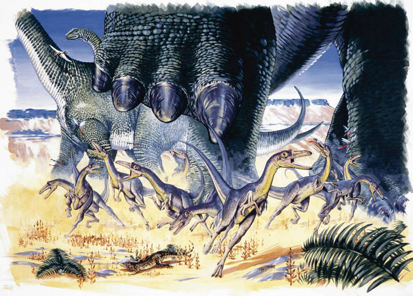 无人,横图,室外,特写,白天,野生动物,捕食,自然,动物,恐龙,爪,环境,威胁,进攻,生存,比例,侏罗纪,古代史,地质学,史前时代,恐惧,危险,彩图,过去,古生物学