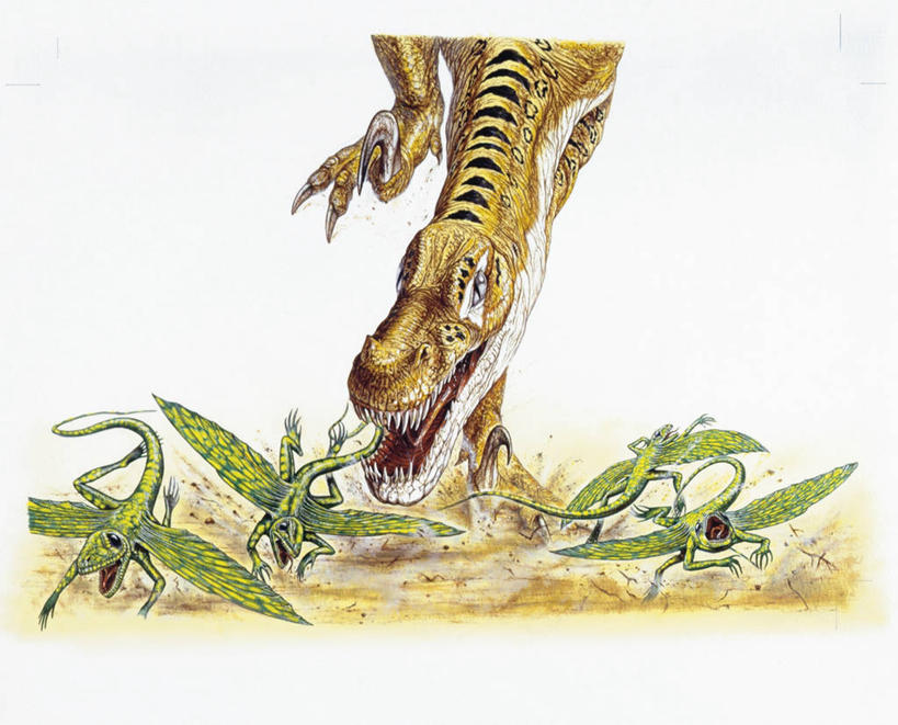 无人,横图,室外,特写,白天,野生动物,捕食,自然,动物,恐龙,环境,威胁,进攻,生存,古代史,地质学,迅猛龙,史前时代,恐惧,危险,彩图,白垩系,过去,古生物学