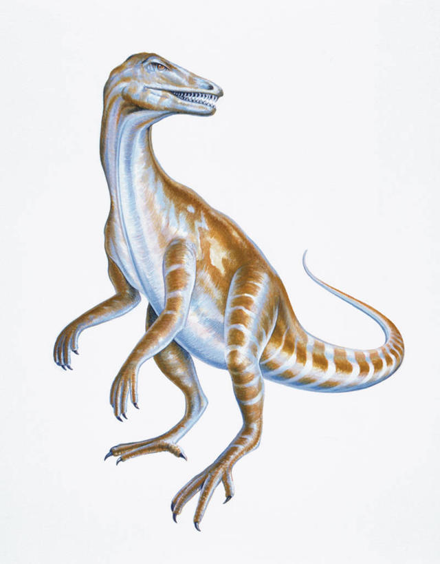 无人,站,竖图,插画,白色背景,数码,科技,野生动物,阴影,网络,高光,几何,计算机图形,合成,图画,历史,画,白色,动物,摄影,恐龙,影棚,电脑合成图,数码合成图,合成图,摄影棚,漫画,远古,写实,具体,具象,三叠纪,古代史,式样,地质学,史前时代,彩图,影棚拍摄,拍摄,年代,地质年代,地质时代,时代,显生宙,中生代,过去,古生物学