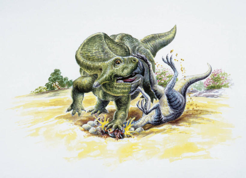 无人,横图,插画,室外,白天,数码,科技,野生动物,对抗,阴影,冲突,网络,高光,几何,计算机图形,合成,图画,历史,破坏,破损,画,自然,动物,两只,恐龙,踏步,保护,环境,损坏,死亡,电脑合成图,数码合成图,合成图,进攻,漫画,碎屑,写实,具体,具象,卵,偷蛋龙,原角龙,古代史,地质学,史前时代,步行,彩图,中生代,白垩系,过去,古生物学