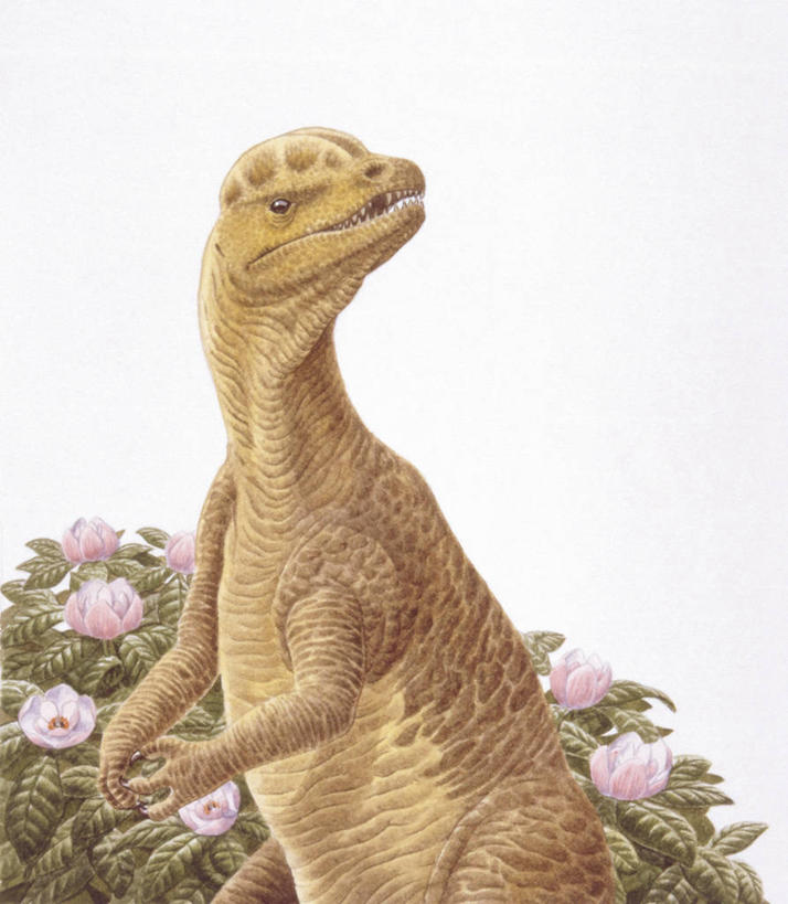 无人,站,竖图,插画,室外,白天,数码,科技,野生动物,阴影,网络,高光,几何,计算机图形,合成,图画,历史,画,花,动物,恐龙,灌木,电脑合成图,数码合成图,合成图,漫画,写实,具体,具象,侏罗纪,古代史,地质学,史前时代,半身,彩图,双脊龙,中生代,过去,古生物学