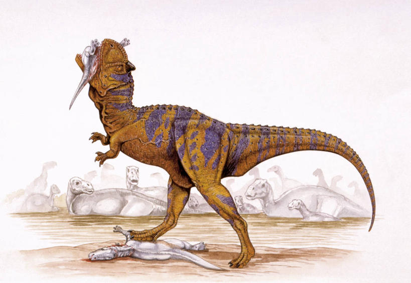 无人,站,吃,横图,插画,室外,白天,数码,科技,野生动物,阴影,网络,捕食,高光,几何,计算机图形,合成,图画,历史,画,自然,动物,看,恐龙,观看,环境,电脑合成图,数码合成图,合成图,漫画,写实,具体,具象,食肉牛龙,古代史,地质学,史前时代,彩图,食物链,中生代,白垩系,过去,古生物学