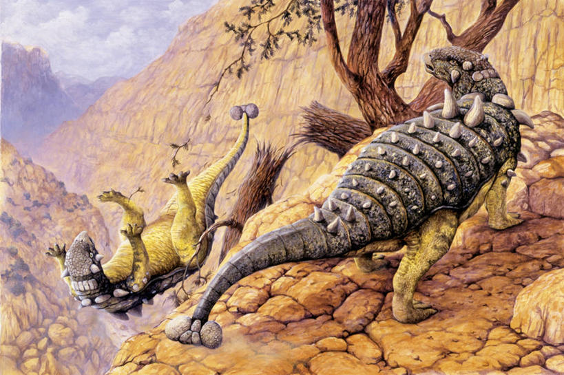 无人,横图,插画,室外,白天,风险,数码,科技,石头,山,峡谷,野生动物,阴影,网络,石子,地形,悬崖,山谷,高光,几何,计算机图形,合成,图画,历史,画,自然,动物,两只,陡峭,恐龙,落下,环境,电脑合成图,数码合成图,合成图,岩层,不幸,沟壑,漫画,军用车,写实,具体,具象,敌对,古代史,地质学,史前时代,自然地理,石块,岩石,彩图,包头龙,中生代,白垩系,过去,古生物学