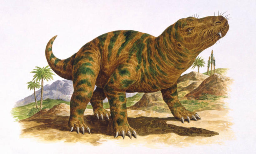 无人,站,横图,插画,室外,白天,数码,科技,野生动物,阴影,网络,高光,几何,计算机图形,合成,图画,历史,画,自然,动物,环境,电脑合成图,数码合成图,合成图,漫画,远古,写实,具体,具象,三叠纪,古代史,地质学,史前时代,彩图,年代,地质年代,地质时代,时代,显生宙,中生代,过去,古生物学