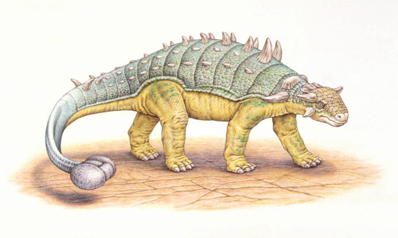 无人,站,横图,插画,室外,白天,白色背景,侧面,安全,数码,科技,野生动物,阴影,网络,盔甲,防护,高光,几何,计算机图形,合成,图画,历史,画,白色,动物,恐龙,保护,电脑合成图,数码合成图,合成图,保险,防御,漫画,铠甲,写实,具体,具象,防具,防卫,古代史,地质学,史前时代,平安,彩图,包头龙,甲胄,中生代,白垩系,过去,古生物学