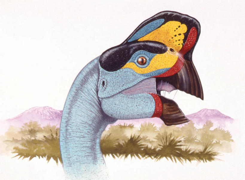 无人,横图,插画,室外,特写,白天,侧面,数码,科技,野生动物,阴影,网络,高光,几何,计算机图形,合成,图画,历史,画,动物,打开,恐龙,电脑合成图,数码合成图,开启,合成图,漫画,写实,具体,具象,偷蛋龙,古代史,式样,地质学,史前时代,彩图,中生代,白垩系,过去,古生物学