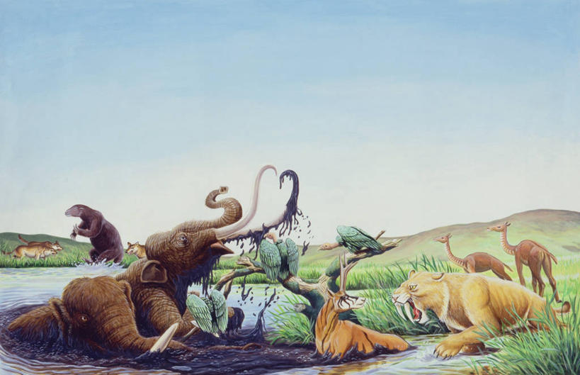 无人,横图,插画,室外,白天,数码,科技,湖,水,哺乳动物,野生动物,涉水,阴影,网络,河岸,泥土,水边,高光,几何,计算机图形,合成,图画,历史,画,风景,天空,自然,动物,环境,电脑合成图,数码合成图,泥,合成图,进攻,漫画,万里无云,写实,具体,具象,古代史,地质学,史前时代,彩图,食物链,过去,古生物学