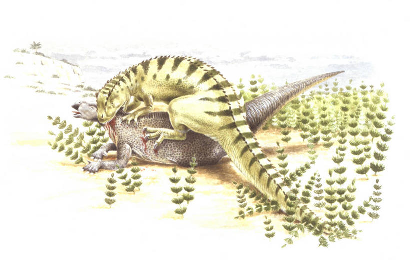 无人,吃,横图,插画,室外,白天,数码,科技,野生动物,对抗,咬,阴影,冲突,网络,捕食,高光,几何,计算机图形,合成,图画,历史,画,自然,动物,两只,恐龙,环境,电脑合成图,数码合成图,咬着,暴力,合成图,进攻,漫画,写实,具体,具象,禽龙,古代史,地质学,史前时代,彩图,白垩系,过去,古生物学