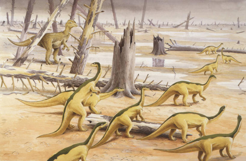 无人,横图,插画,室外,白天,旅游,度假,数码,科技,美景,植物,野生动物,阴影,网络,地形,景观,树桩,自然灾害,高光,几何,计算机图形,合成,图画,历史,娱乐,画,树,自然,动物,享受,休闲,思考,景色,放松,恐龙,落下,环境,电脑合成图,数码合成图,合成图,自然风光,毁灭,漫画,写实,具体,具象,侏罗纪,古代史,地质学,史前时代,彩图,双脊龙,过去,古生物学