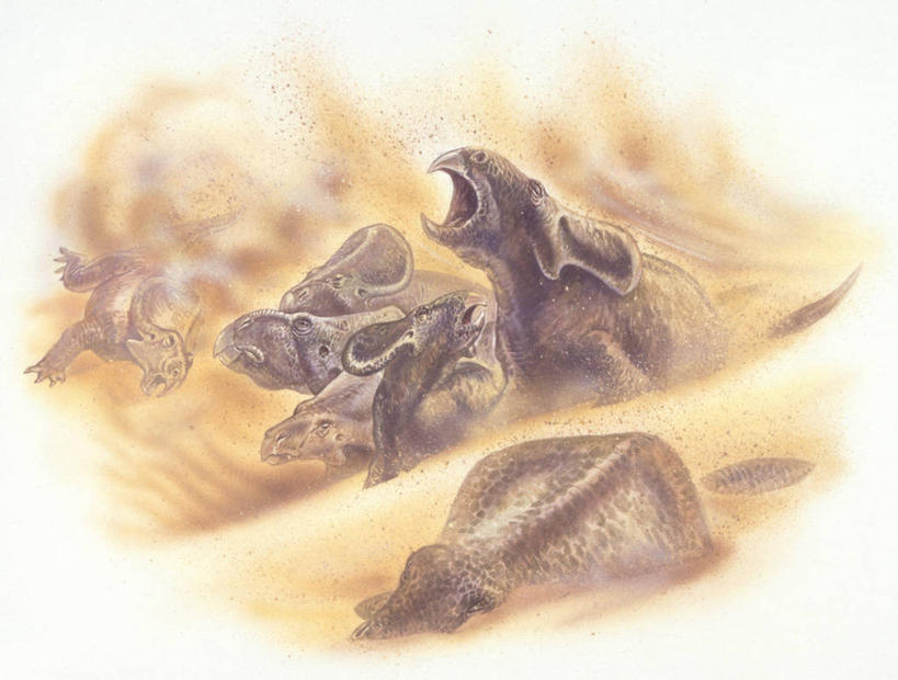 无人,横图,插画,室外,数码,科技,暴风雨,沙尘暴,野生动物,阴影,网络,沙子,天气,高光,几何,计算机图形,合成,图画,历史,画,自然,动物,打开,恐龙,环境,死亡,电脑合成图,数码合成图,开启,合成图,痛苦,问题,漫画,写实,具体,具象,原角龙,古代史,地质学,史前时代,危险,彩图,混沌,白垩系,过去,古生物学