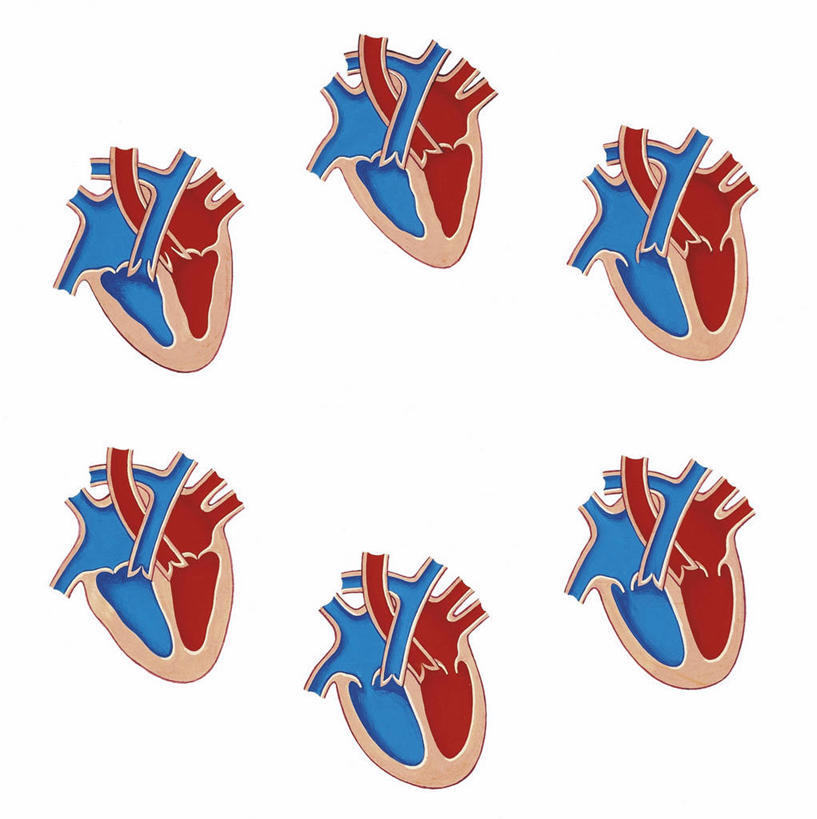 心脏,无人,竖图,方图,插画,白色背景,重复,数码,科技,自行车,阴影,时间,科学,网络,圆形,高光,几何,计算机图形,合成,图画,脚踏车,画,红色,蓝色,白色,血液,运输,半满,人体,流动,多样,电脑合成图,数码合成图,生物学,合成图,漫画,写实,具体,具象,人体结构,心,彩图