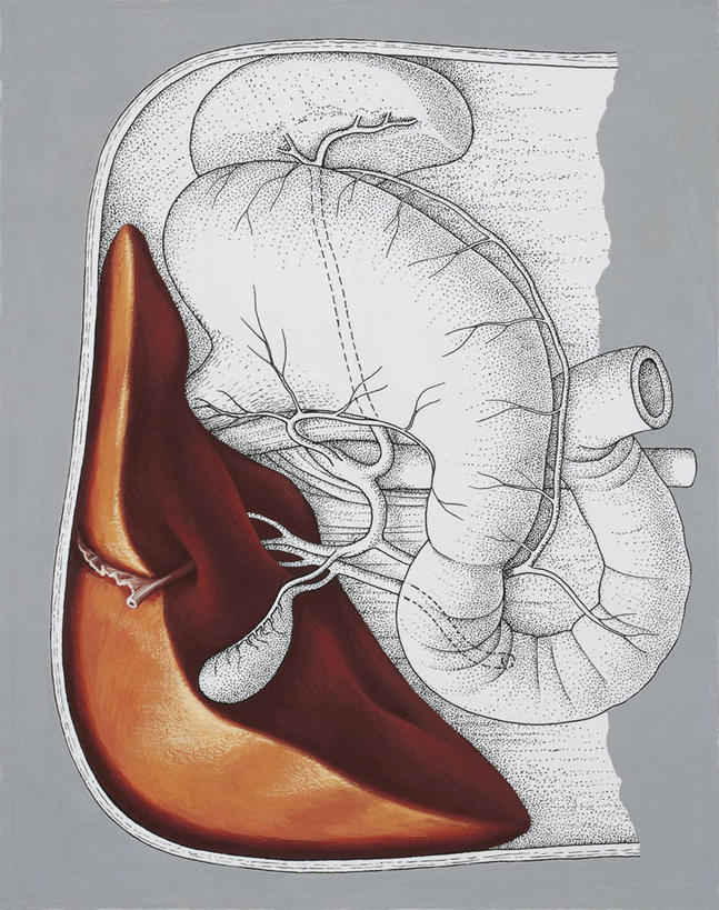 肝脏,胆囊,无人,竖图,插画,数码,科技,阴影,科学,网络,高光,几何,计算机图形,合成,图画,画,人体,电脑合成图,数码合成图,生物学,合成图,漫画,写实,具体,具象,消化道,吸收,消化管,人体结构,消化,排泄,摄取,彩图,消化腺,转运,消化系统