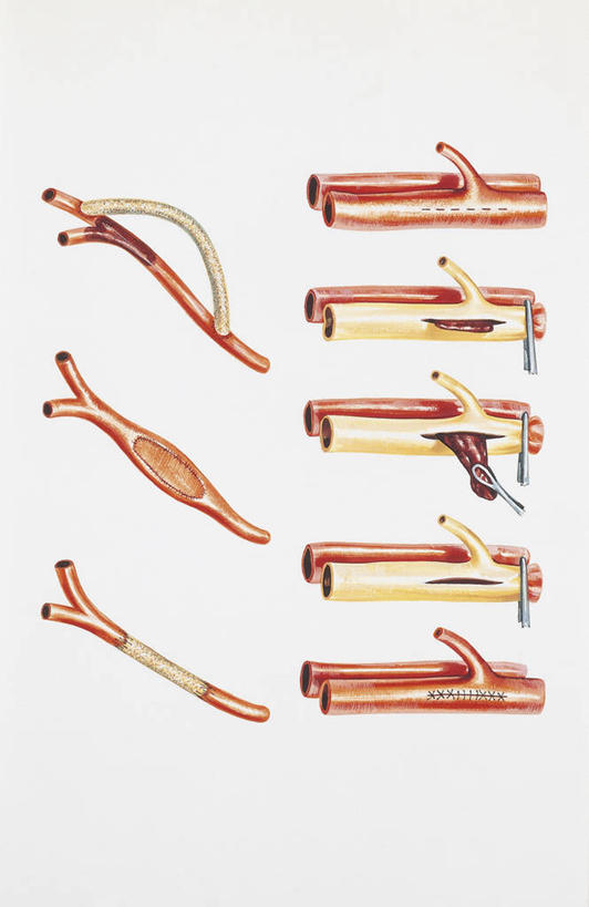 无人,横图,方图,室内,白天,农作物,许多,丰富,科学,种子,很多,自然,摄影,环境,大麻,生物学,草本,彩图,全画面,全框架,全帧,全画幅,大麻纤维