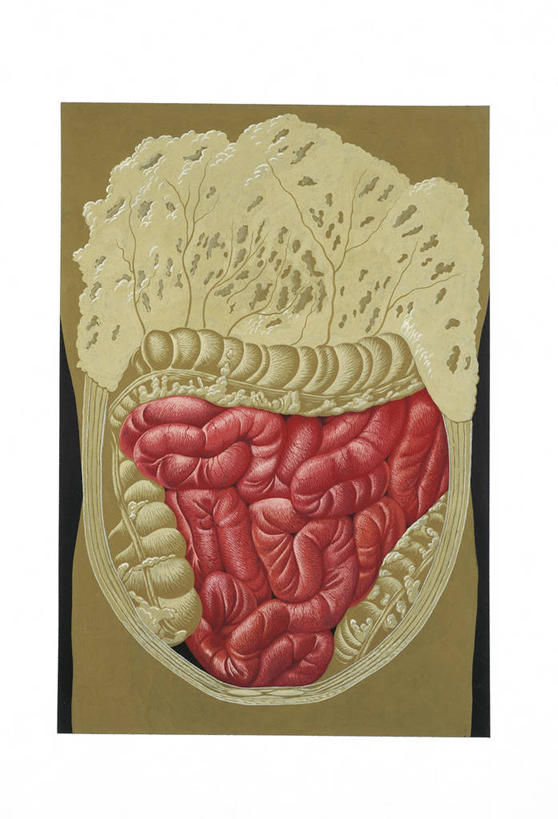 无人,竖图,插画,正面,数码,科技,阴影,科学,网络,高光,几何,计算机图形,合成,图画,画,躯干,人体,电脑合成图,数码合成图,生物学,合成图,漫画,写实,具体,具象,肠道,结肠,消化道,吸收,肠系膜,消化管,人体结构,消化,排泄,腹膜,摄取,小肠,彩图,消化腺,转运,消化系统