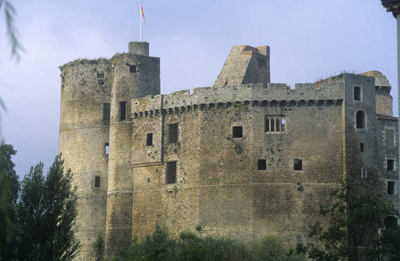 无人,横图,室外,白天,安全,建筑,法国,欧洲,城堡,纪念碑,围墙,塔,历史,废墟,树,摄影,西欧,要塞,法兰西,中欧,法兰西共和国,法兰西第五共和国,卢瓦尔河,罗亚尔河,古代文明,彩图,时代