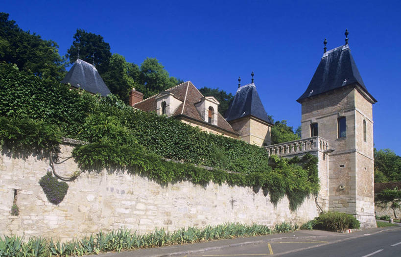 无人,横图,室外,白天,植物,建筑,路,法国,城堡,纪念碑,围墙,塔,历史,废墟,摄影,要塞,中欧,苏门答腊岛,古代文明,法兰西岛大区,棉兰,彩图