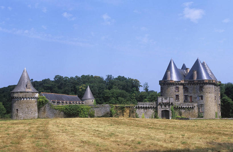 无人,横图,室外,白天,旅游,度假,美景,建筑,法国,欧洲,城堡,景观,田地,纪念碑,塔,历史,娱乐,废墟,树,自然,享受,休闲,景色,放松,摄影,布列塔尼,西欧,要塞,法兰西,自然风光,中欧,法兰西共和国,法兰西第五共和国,布列塔尼半岛,古代文明,布列塔尼地区,伊勒.维莱讷省,彩图