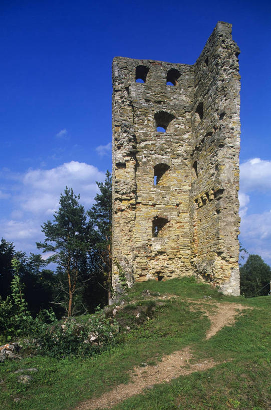 无人,竖图,室外,白天,山,建筑,爱沙尼亚,城堡,历史,废墟,草,摄影,毁灭,彩图,旅行,波罗的海三国