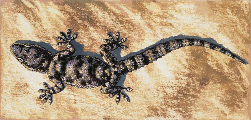 无人,横图,全景,俯视,插画,数码,科技,壁虎,阴影,科学,网络,高光,几何,计算机图形,合成,图画,画,动物,电脑合成图,数码合成图,生物学,合成图,伪装,漫画,写实,具体,具象,大壁虎,彩图,高角度拍摄,动物学