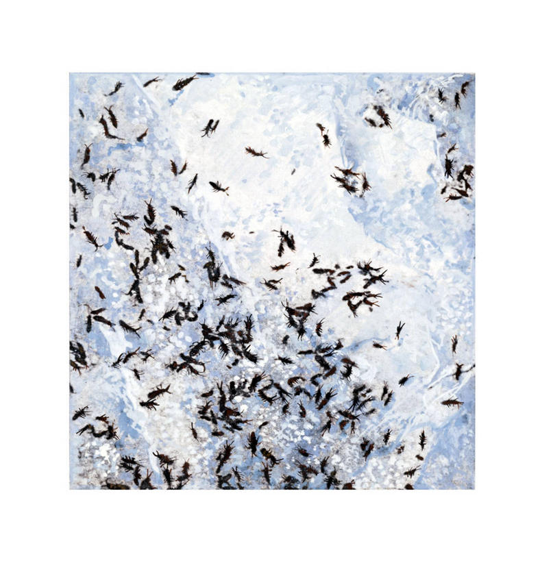 无人,横图,竖图,插画,数码,科技,一群,许多,阴影,科学,网络,昆虫,很多,高光,几何,计算机图形,合成,图画,画,自然,环境,电脑合成图,数码合成图,生物学,合成图,横截面,节肢动物,漫画,写实,具体,具象,跳蚤,彩图,动物学