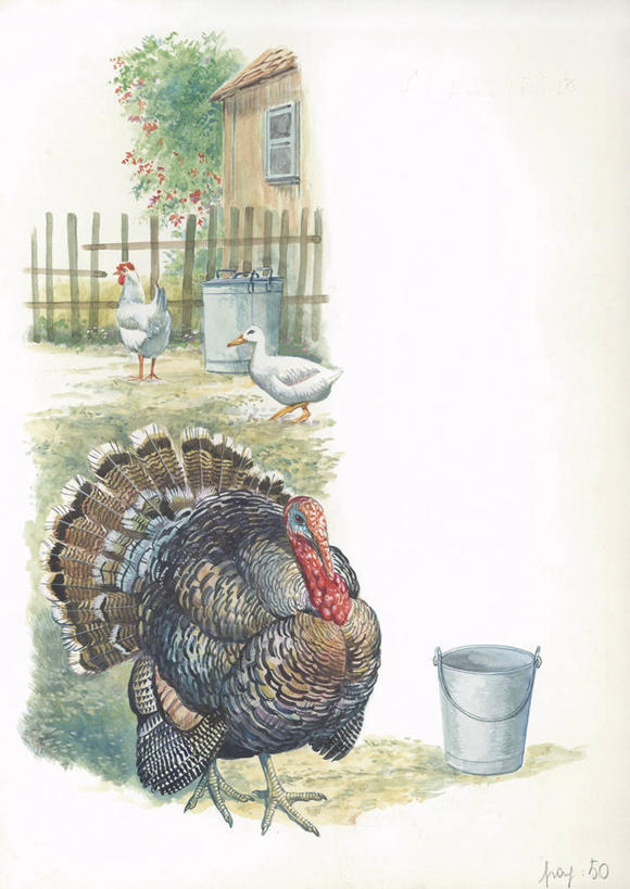 无人,农场,竖图,插画,室外,白天,白色背景,数码,科技,三只,阴影,科学,网络,鸟类,高光,几何,计算机图形,合成,图画,家禽,画,白色,动物,家畜,牲畜,电脑合成图,数码合成图,生物学,合成图,漫画,写实,具体,具象,彩图,动物学,野火鸡