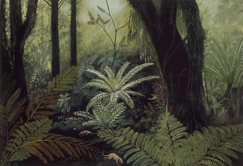 无人,横图,插画,室外,白天,数码,科技,美景,森林,阴影,科学,网络,景观,高光,几何,计算机图形,合成,图画,画,树,古树,风景,自然,景色,蕨类,环境,电脑合成图,数码合成图,生物学,合成图,自然风光,漫画,写实,具体,具象,彩图