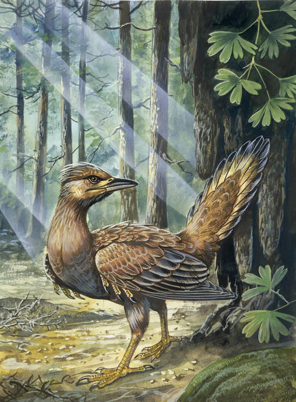 无人,站,竖图,插画,室外,白天,数码,科技,森林,太阳,野生动物,叶子,阴影,网络,鸟类,高光,几何,计算机图形,合成,图画,画,树干,自然,爪,电脑合成图,数码合成图,合成图,漫画,辽宁省,机敏,写实,具体,具象,进化,重建,史前时代,彩图,古生物学