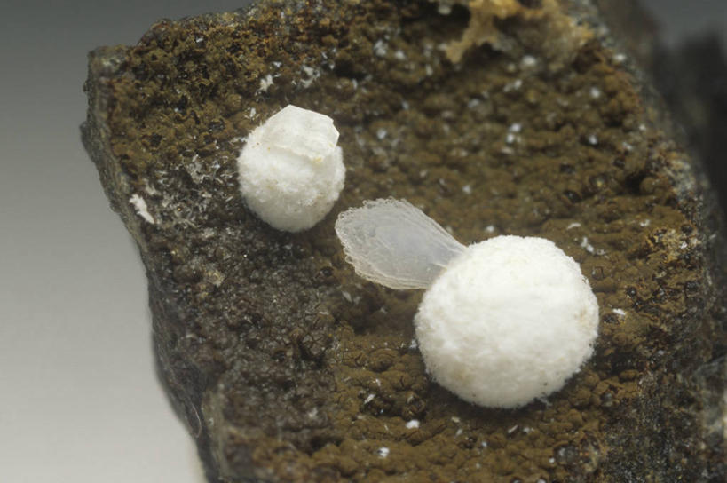 无人,横图,室内,特写,固体,自然,摄影,部分,环境,地质学,矿物质,自然地理,岩石,彩图,影棚拍摄