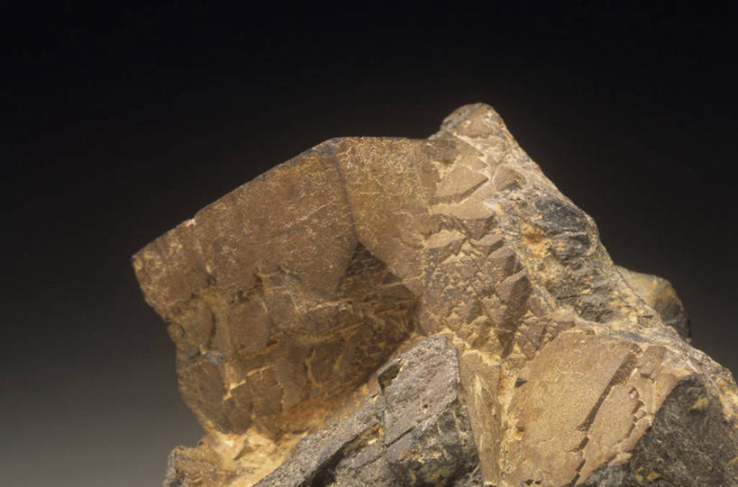 无人,横图,室内,特写,固体,自然,摄影,部分,环境,地质学,矿物质,自然地理,岩石,彩图,影棚拍摄