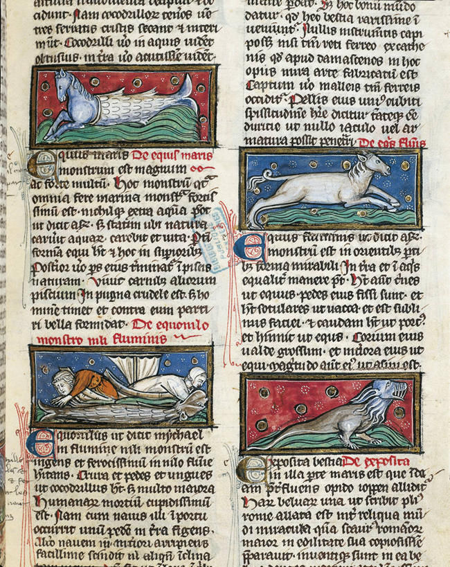 无人,竖图,特写,建筑,法国,小的,古代,手稿,摄影,宗教,海怪,文学,修道院,怪物,将军,中欧,哲学家,古代文明,地质学,美术工艺,修院,大写字母,彩图,时代,古生物学